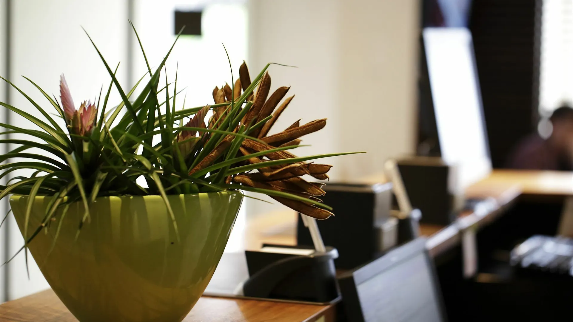 Hotel Walhalla Guesthouse Zurich